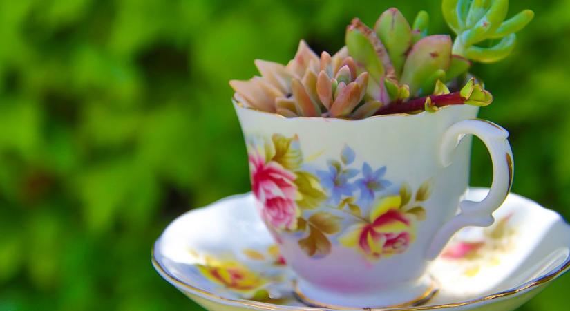 Így használd a nagyi teáskészletét, ha kidobásra ítélted: van, ami jól mutat majd benne