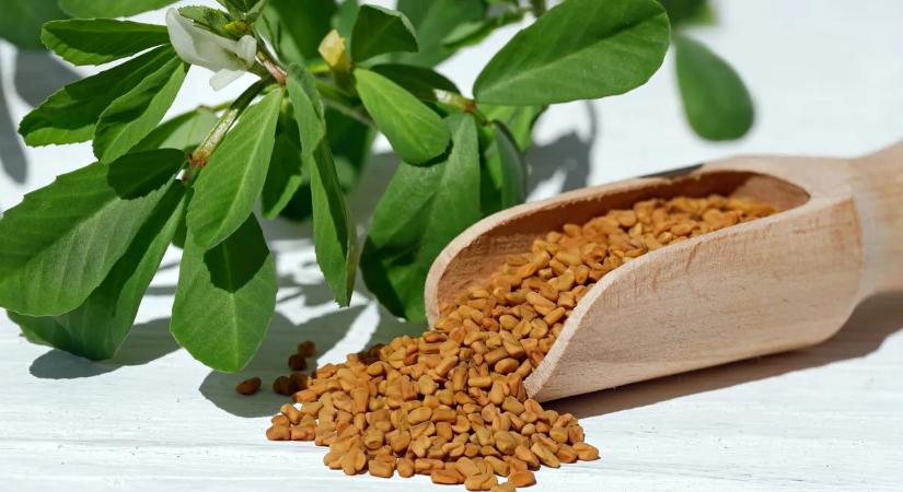 Eleged van az állandó puffadásból? Ezt a gyógynövényt érdemes bevetned