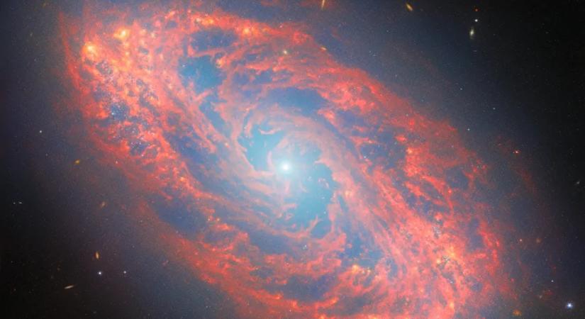 Élő festmény az űr mélyéből