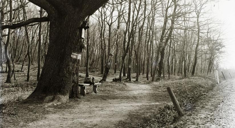 Múltidéző séták Sopron körül - Nosztalgikus retró fotókkal repítünk vissza a múltba