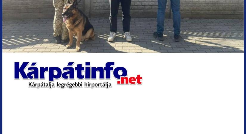 Török állampolgárt fogtak el a szlovák határ közelében