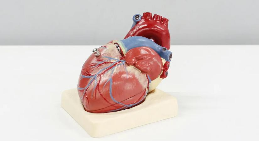 Gyakran felgyorsul a pulzusa? Komoly bajt jelezhet