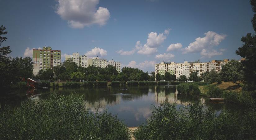 Nincs már hová elbújniuk: különös látvány fogadja a Vértónál sétálókat