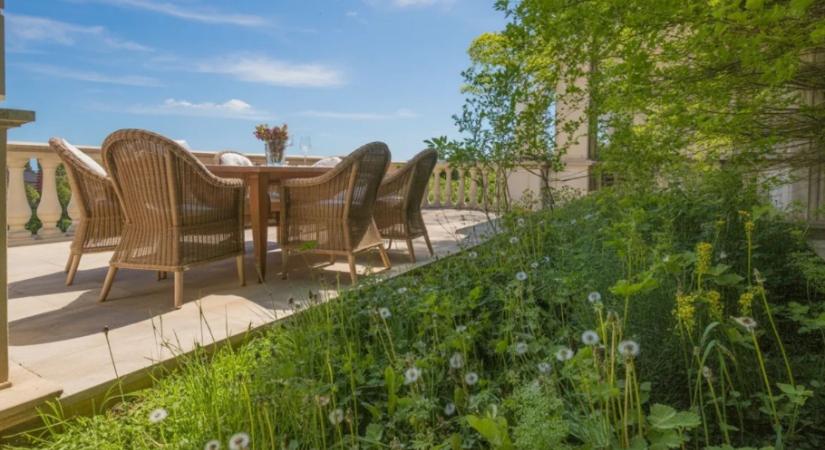 A legtöbben vegyszert használnak – pedig ez az egyszerű konyhai trükk eltünteti a gyomokat