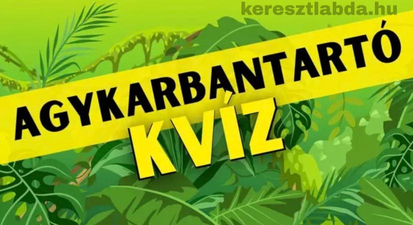 Agykarbantartó feladat: Mit árul el az elmédről az, ha észre sem vetted a kétéltűt?