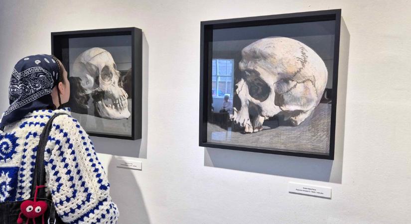 Rendhagyó kiállítás: különleges alkotások költöztek az Alföldi Galériába