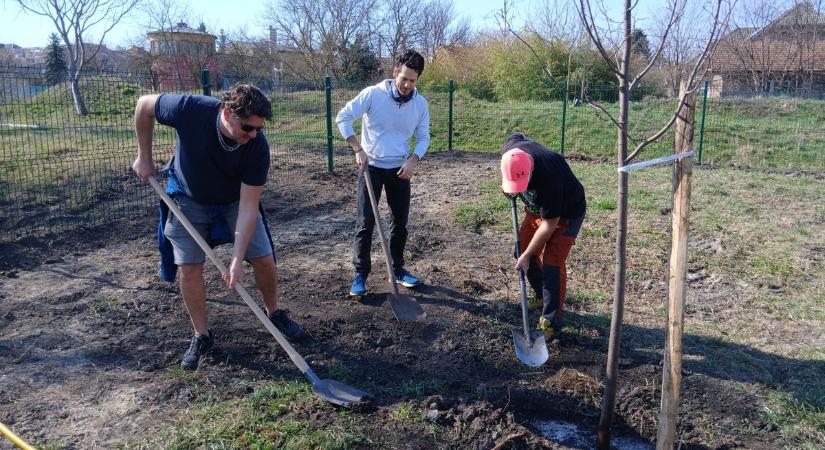 Új kutyafuttató és faültetés Gárdonyban
