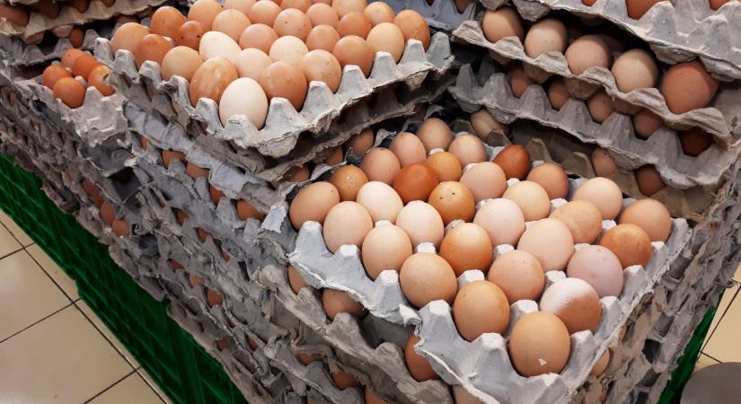 Hihetetlen, ami az ukrán tojással történik: ez sok mindent megváltoztathat