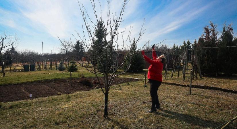 Szinte nyárias fordulat jön – ilyen lesz a holnapi időjárás Hevesben