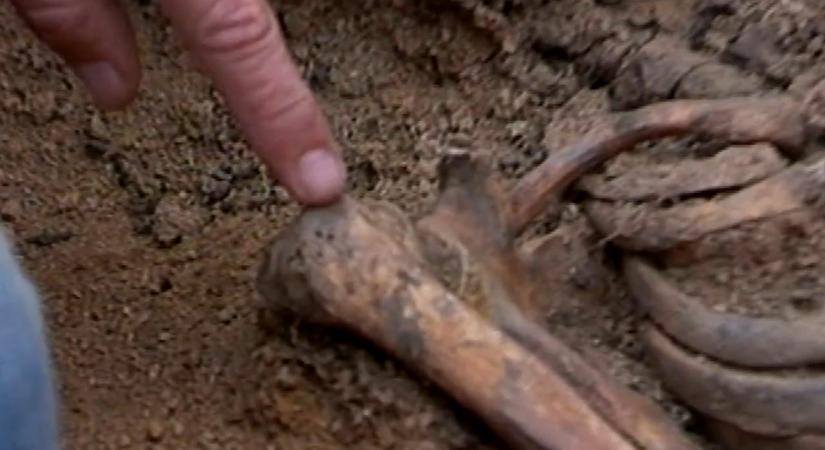 Női csontváz vagy Petőfi maradványai? A barguzini expedíció máig vitákat kavar