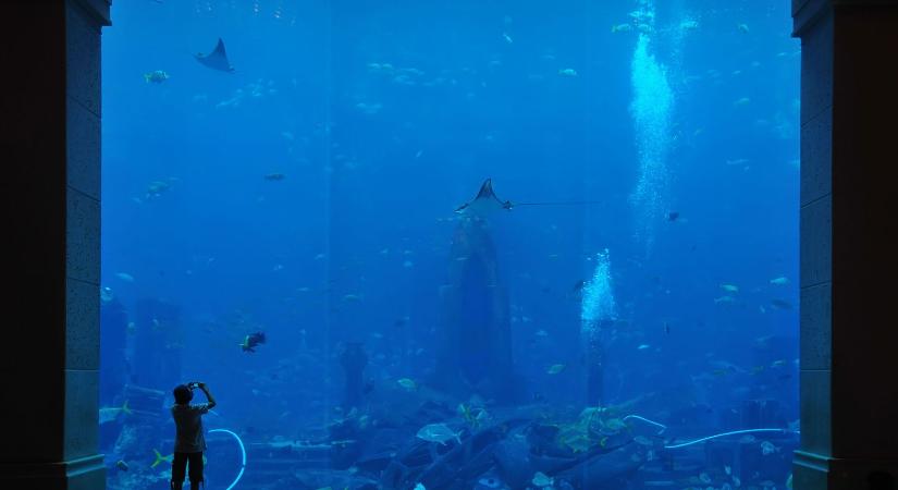 Sokkot kaptak a tudósok, váratlan helyen fedezték fel az igazi Atlantisz romjait?