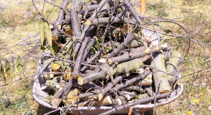 Így készíthet olcsón házi mulcsot, a kertje is hálás lesz érte