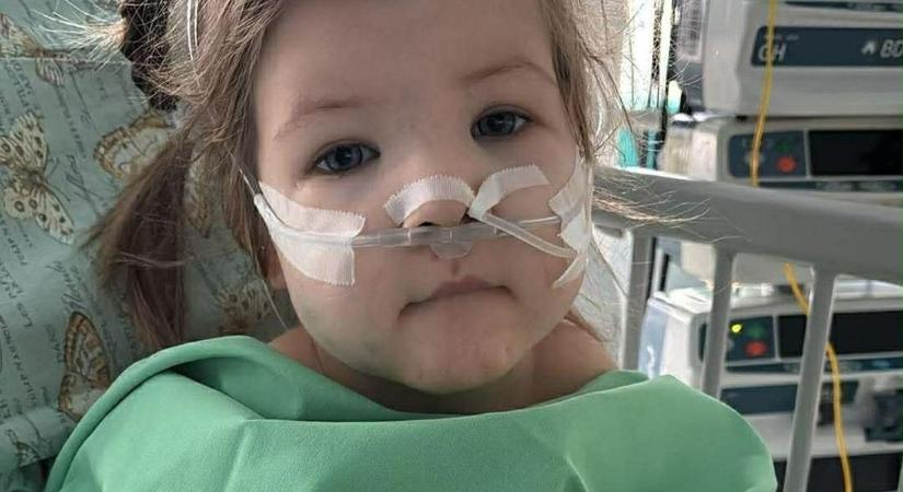 Műszív tartja életében a kis Lillát, a fennmaradásért küzd a szolnoki család