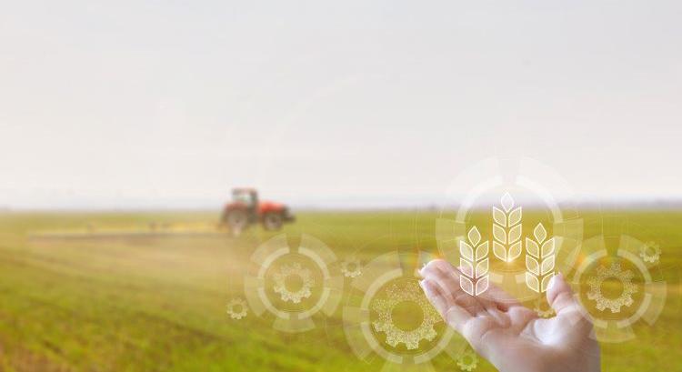 A precíziós növénytermesztés műszaki feltételrendszere