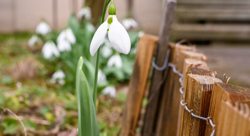 A januári erős fagyok ellenére is enyhébb volt az elmúlt tél a 30 éves átlaghoz képest