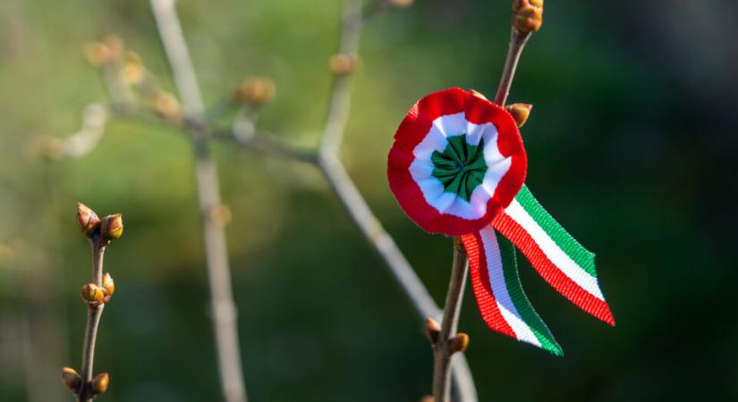 Petőfiék sem vártak a sült galambra