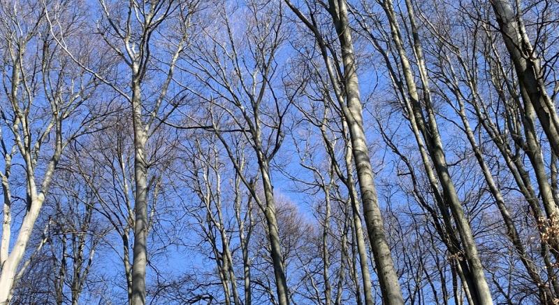 Hol bukkanhatnak fel a NAV revizorai a 12. héten?