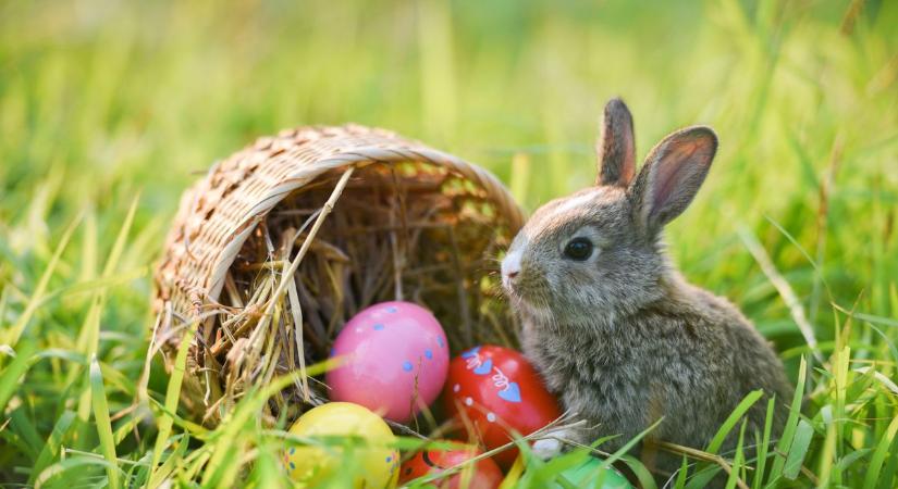 Az egész települést megmozgató húsvéti játékra készülnek