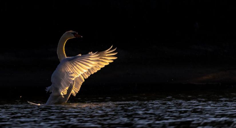 Látványos természetfotóival kápráztatja el hamarosan Esztergomot a fiatal tehetség