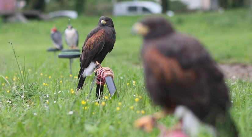 Ez lehet a legértékesebb szakma? (VIDEÓ)