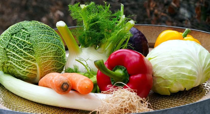 Véget ért az olcsó munkaerő és a könnyű hitelek korszaka a kertészetben