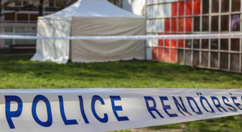 Levetkőztették a játszóteres gyilkosság áldozatát a halála előtt