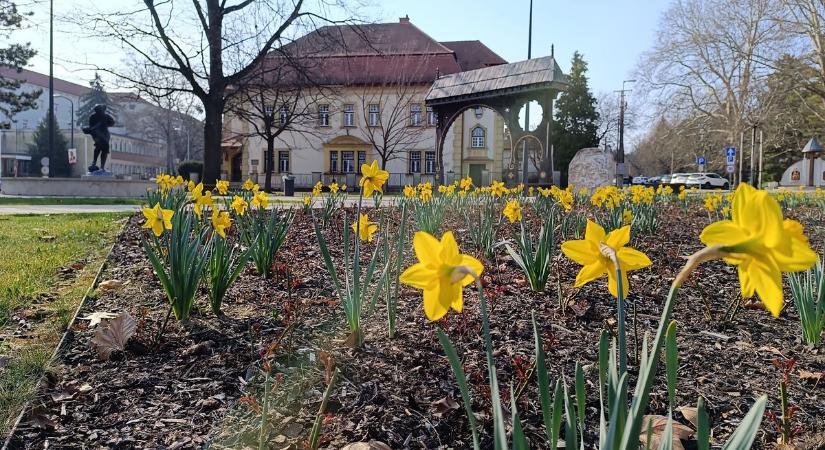 Máris itt az aszály?