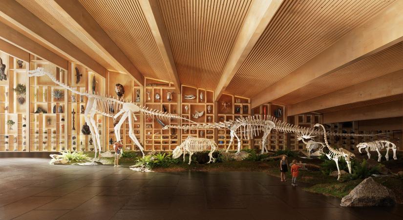 Cannes-ban mutatták be a Debrecenben épülő Természettudományi Múzeum terveit – videón a jövő ikonikus épülete