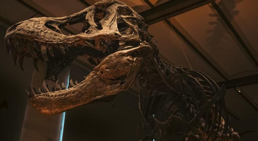 Már a 4. legnézettebb sorozat lett Magyarországon a Netflixen