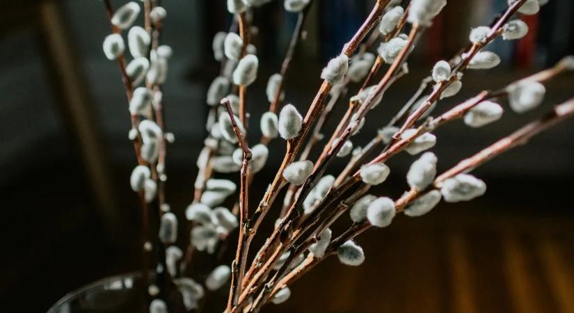 Akár 50 ezer forintjába is kerülhet egy csokor – ne kövessel el ezt a hibát!