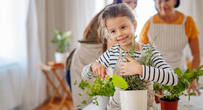 Fűszer ihlette lánynevek – Ánizstól a Zsályáig