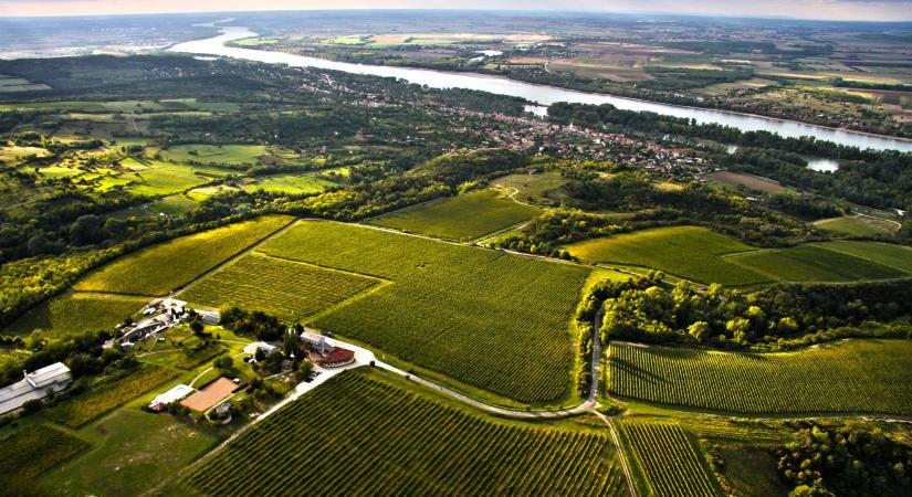 A Szent István Egyetem és a Szkala Polgári Társulás összefogja a Duna két oldalának borászait