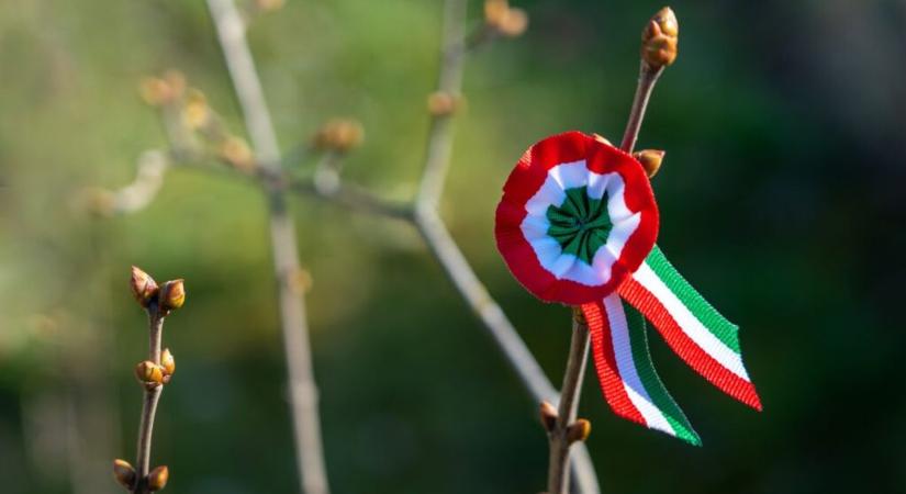 Tedd próbára magad! Mennyit tudsz az 1848–1849-es forradalom és szabadságharcról?