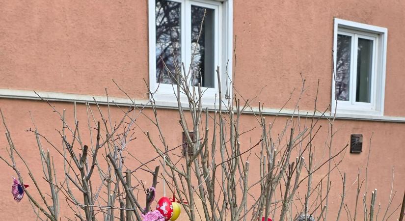 Ez a legcukibb, amit ma látni fogsz: tavaszi díszben a zalai társasház udvara (fotó)