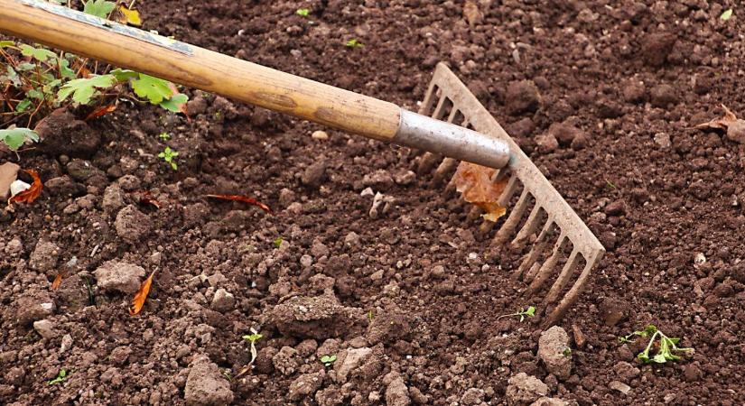 Talaj előkészítése vetés előtt: mit kell most megtenni?