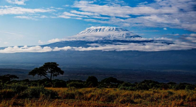 Amit a kenyai aszályból tanulunk: ebbe kéne pénzt fektetni a klímaváltozás idején