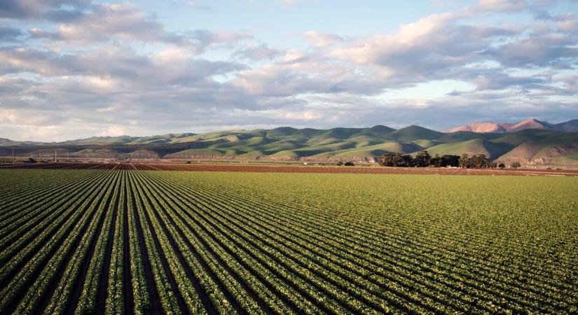 Költségtudatos védelem az építkezéseken és a mezőgazdaságban