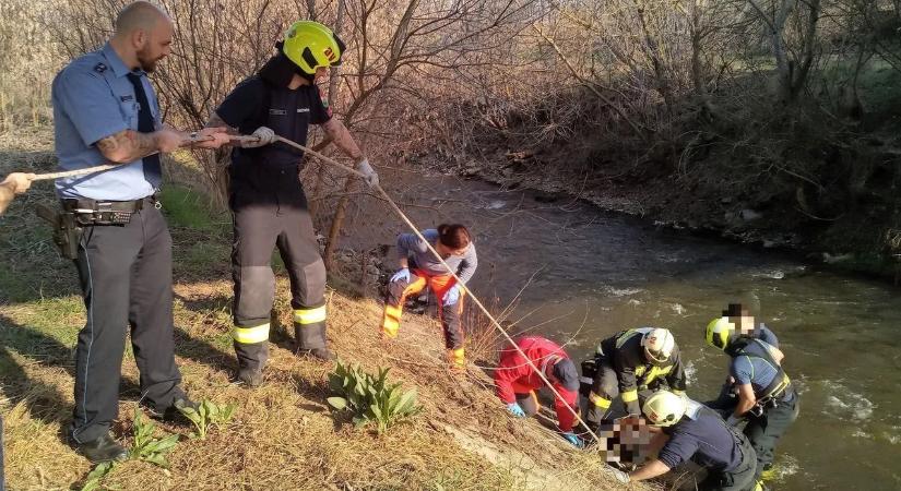 Videón, ahogy kihúzzák a Kapos folyóba esett fiatal férfit