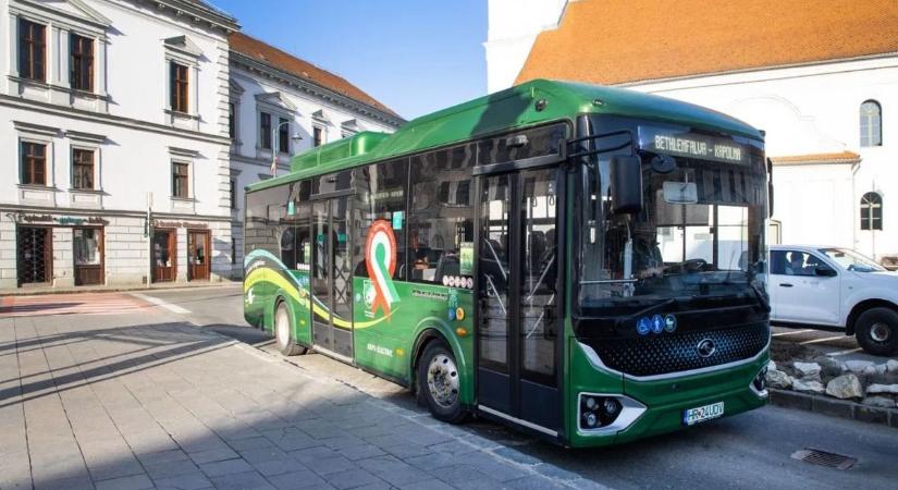 Ünnepi díszbe öltöztek Székelyudvarhely buszai: idézetek és kokárdák a forradalom hőseitől