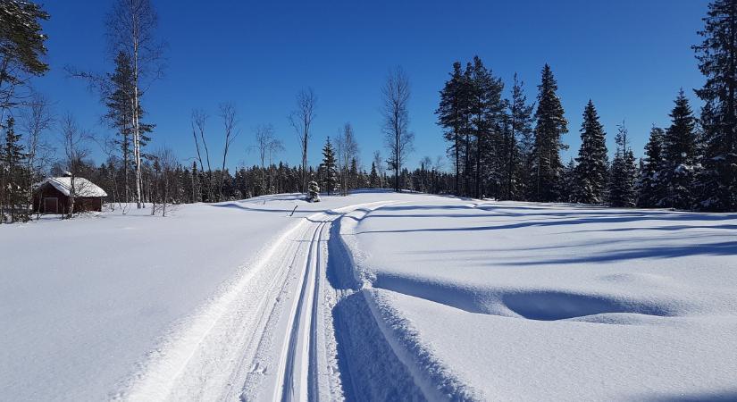 Nem mindennapi vége lett a síelő sok sör-pálinka kombójának a vk-n – videó