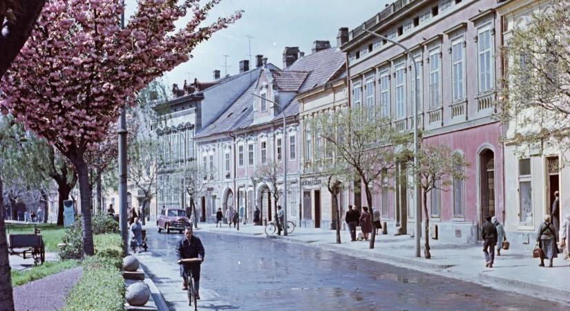 Tavaszi múltidézés: virágba borult kertek és utcák a XX. századból - Galéria!