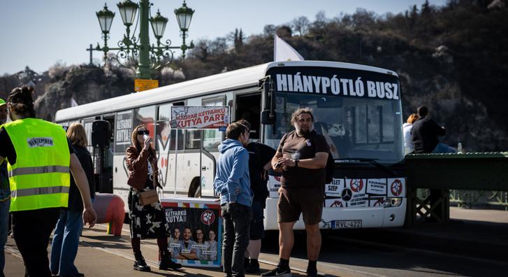 Miközben senki sem figyelt, a Kutyapárt elfoglalt egy hidat