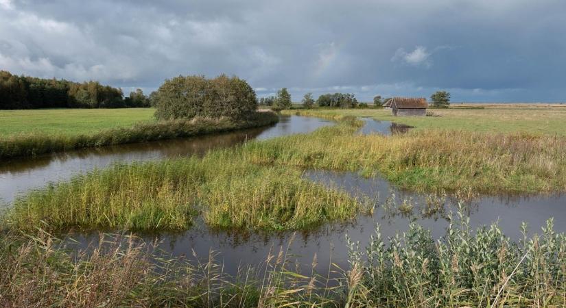 Belvizes területtel küzdesz? Itt a lehetőség, hogy ne teher legyen, hanem haszon