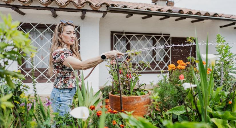 8 kültéri trend, amit hanyagolj idén, ha egészségesebb kertet szeretnél