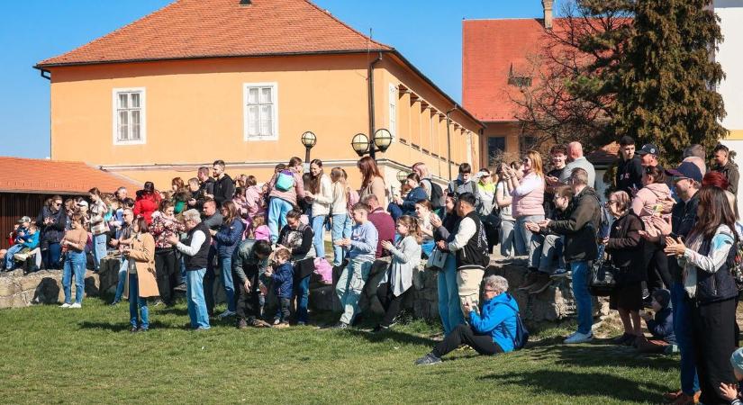 Élettel telt meg az Egri vár a nemzeti ünnepen - képeken a zászlófelvonás