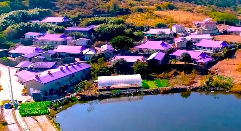 Lila színű szigetek csodájára járnak most a turisták, ilyen színű ruhában ingyenes a belépés