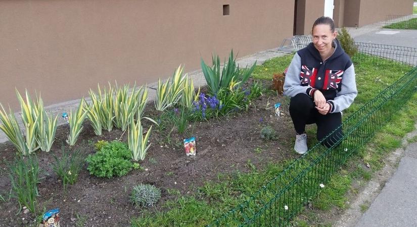 Az elvégzett munka becsülete – kinek érték a lakótelep kiskertje?