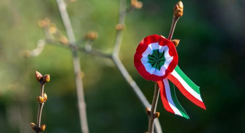 Ha ezt tudod március 15-ről, nagyobb forradalmár vagy, mint a magyarok többsége