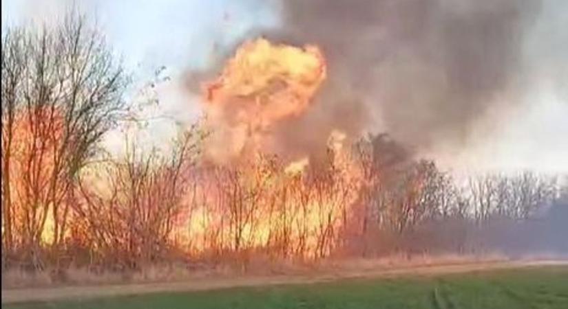 Hatalmas lángokkal égnek a fák és a nádas a Tisza-tónál