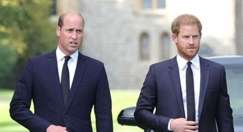 Kitálalt a szájról olvasó: ez hangzott el Vilmos herceg és Harry herceg között a királynő halála utáni veszekedés során